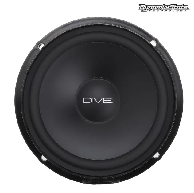 Акустика штатная Dynamic State DVW-W16.1 - фото