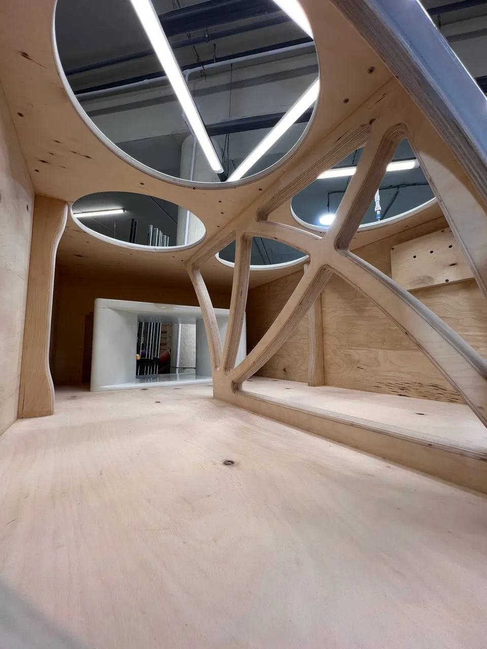 photo_2025-03-12_11-40-42