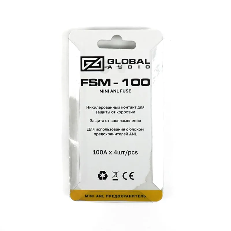 fsm 100 2 fsm 100 2