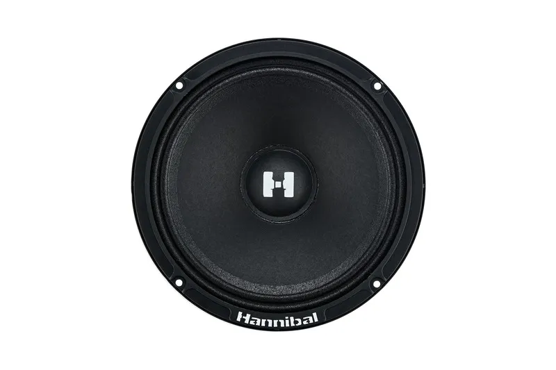 HM6S-03