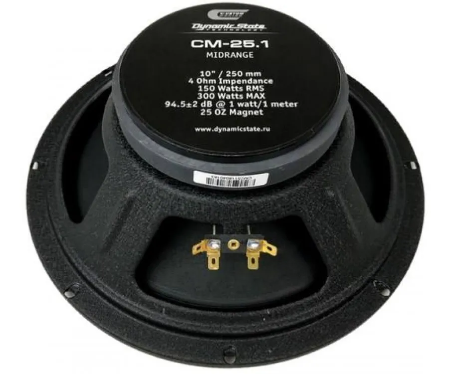 ds%20cm-25.1(1)-900x750[1]