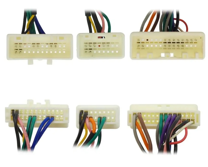 изображение_2024-10-06_053543630