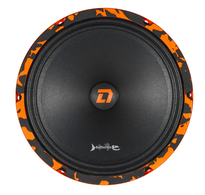 изображение_2024-03-04_075752487