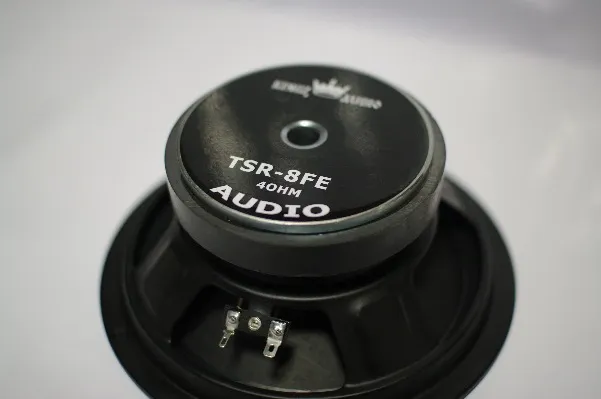 СЧ Динамик Kingz Audio TSR-8FE - фото