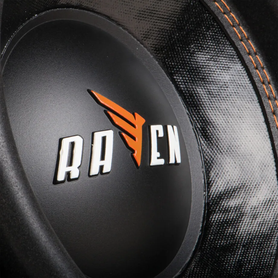 Сабвуфер DL Audio Raven 10 - фото