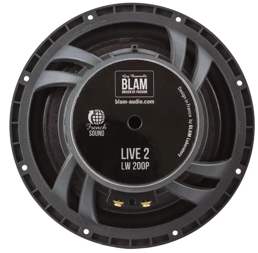 Акустика компонентная BLAM L200P ACT - фото