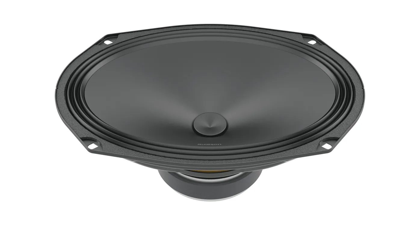 Audison_690_woofer_prosp[1]