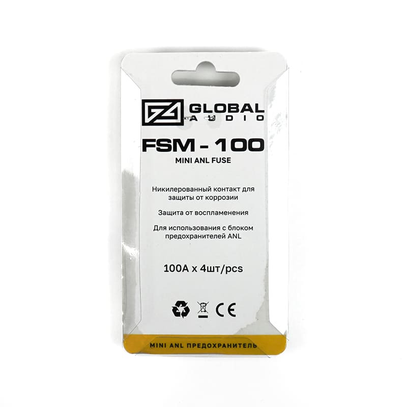 fsm 100 2