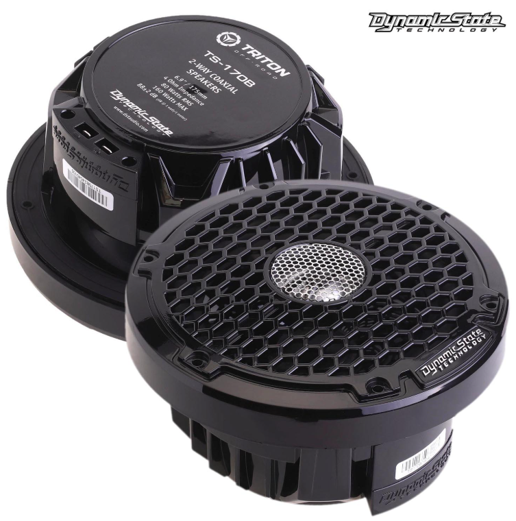 Акустика коаксиальная Dynamic State TRITON TS-170B Black - фото