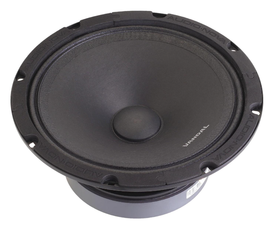 изображение_2024-06-13_052844526