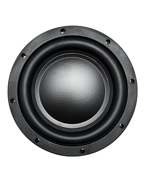 Сабвуфер AMP SWS-10D2